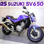 The SV650 2025 Revealed