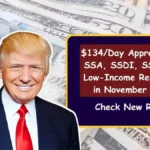 $134 Per Day Social Security Payment Explained for November 2025