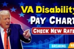 VA Disability Pay Chart 2025