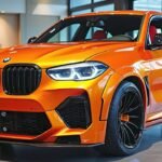2026 BMW X6